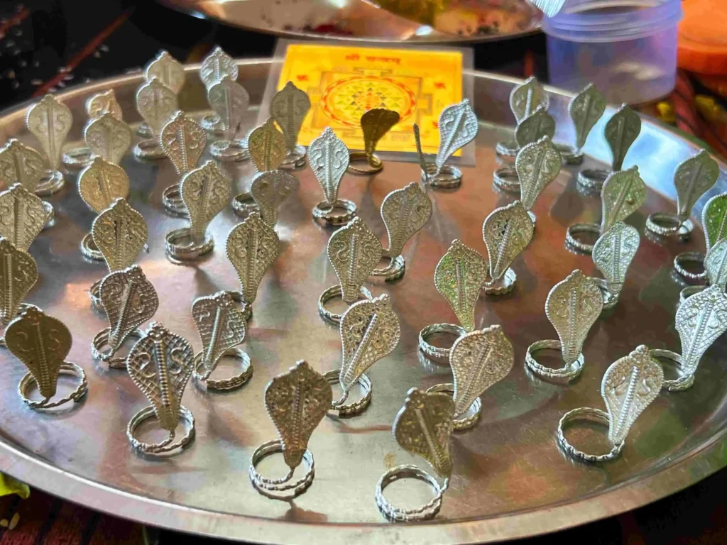 12 types of kaalsarp dosh puja 